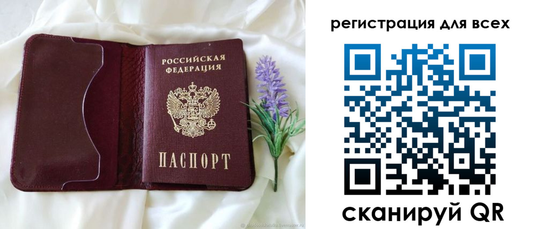 прописка 2025 в Кашине